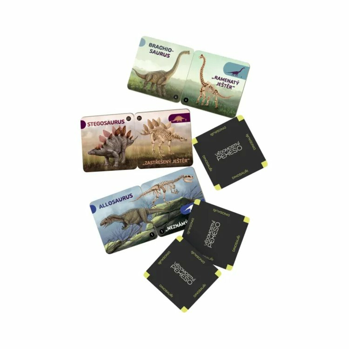 Vědomostní pexeso – Dinosauři