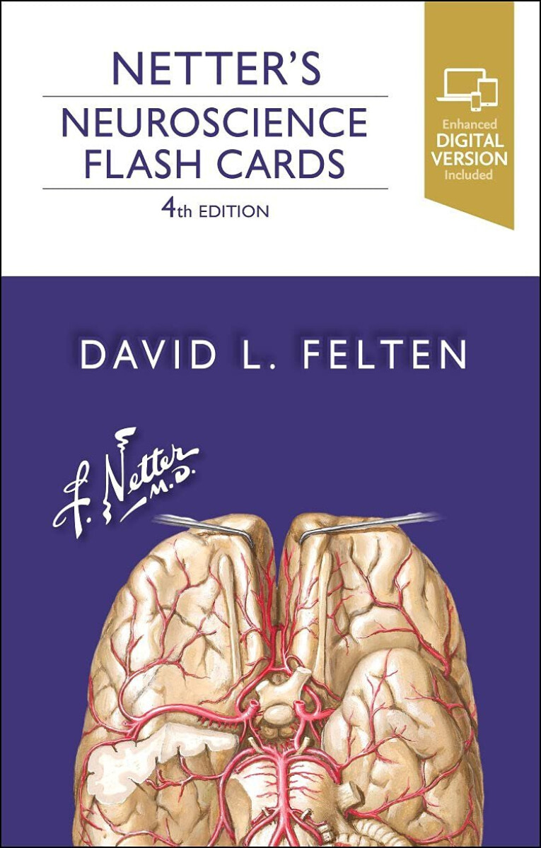 Kniha Netter's Neuroscience Flash Cards