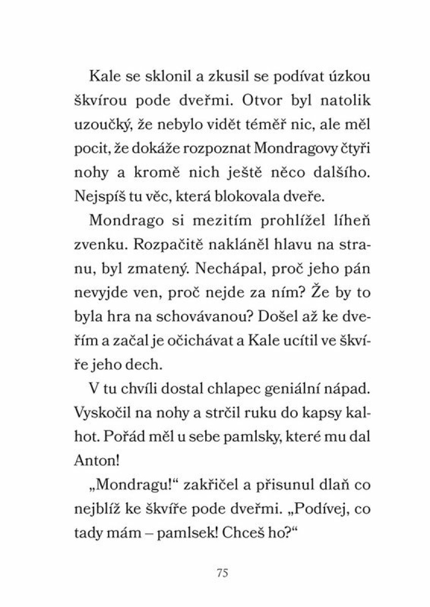 Mondrago - Dračí mláďata: Draci země - Ana Galánová (obrázek 4)