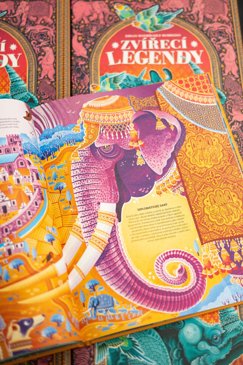 Zvířecí legendy – Diego Rodríguez-Robredo