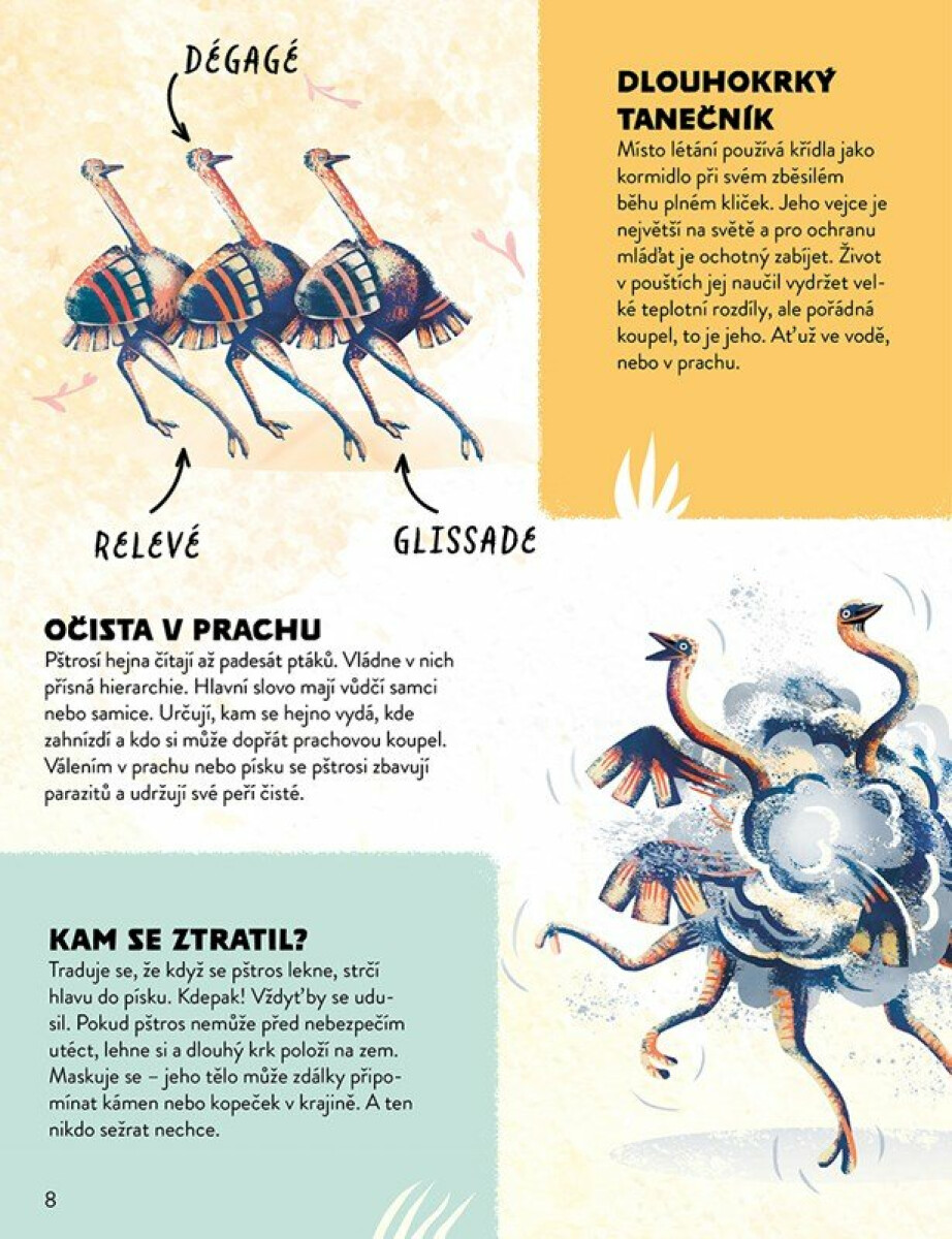 Úžasná domácí zvířata: Hravá, chytrá, svá - Ester Dobiášová, Radka Martincová (obrázek 4)