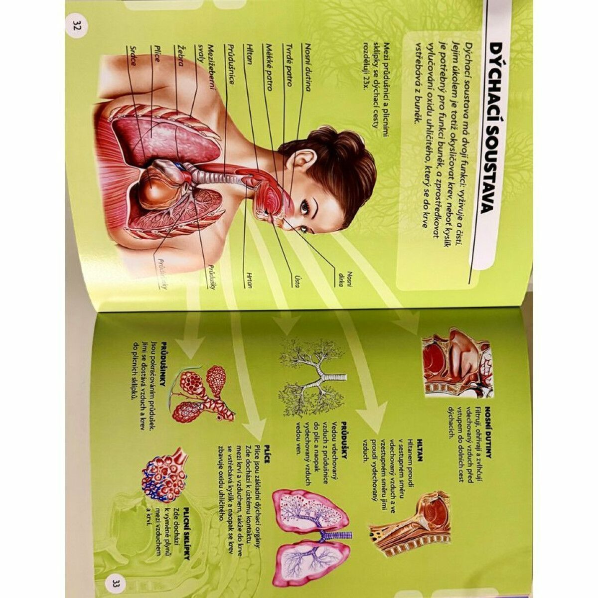 HRAvá kniha Lidské tělo (obrázek 3)