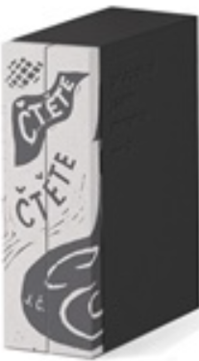 Kniha Pracoval jsem mnoho - Soupis výtvarného díla Josefa Čapka IV