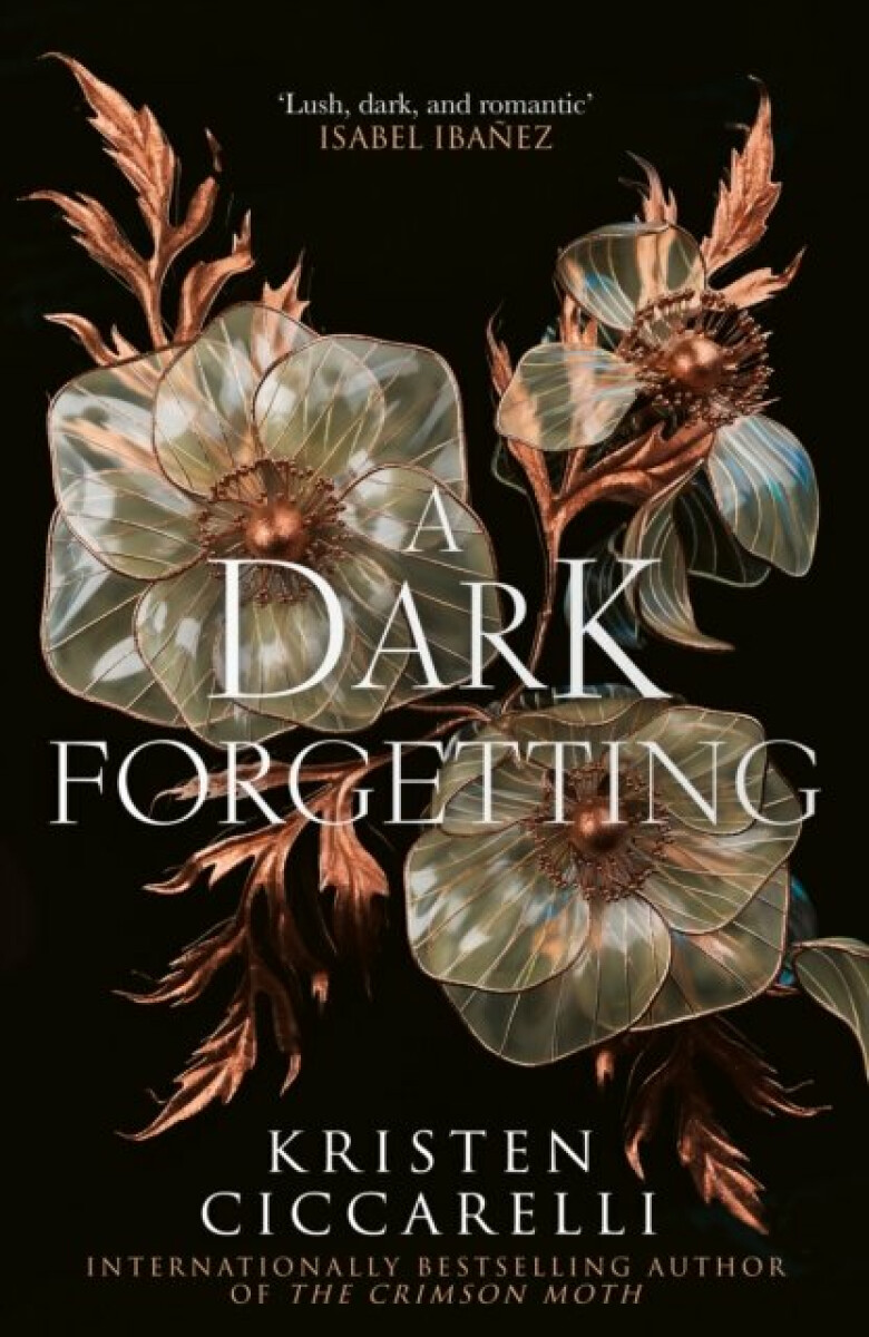 Kniha A Dark Forgetting