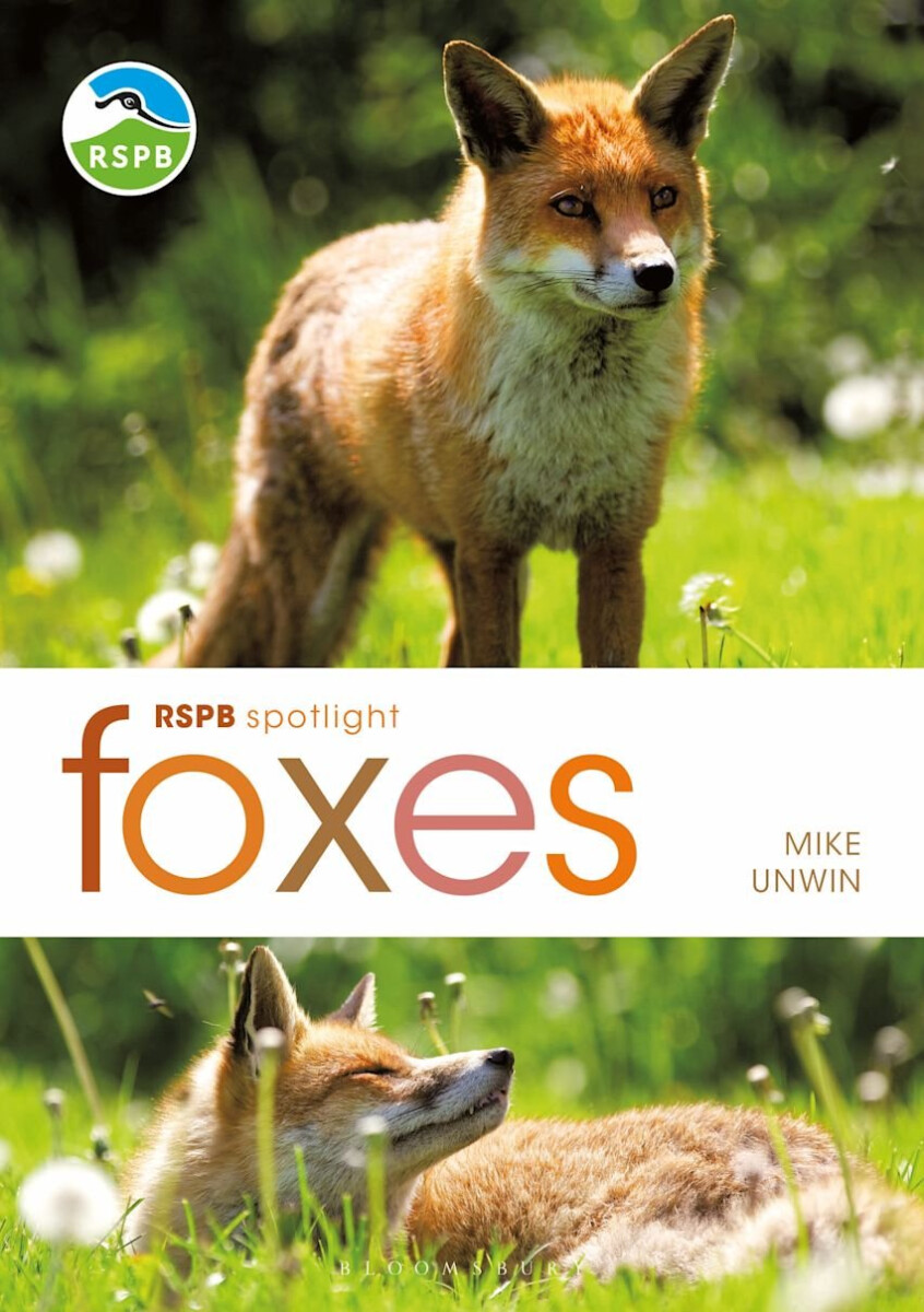 Kniha RSPB Spotlight: Foxes