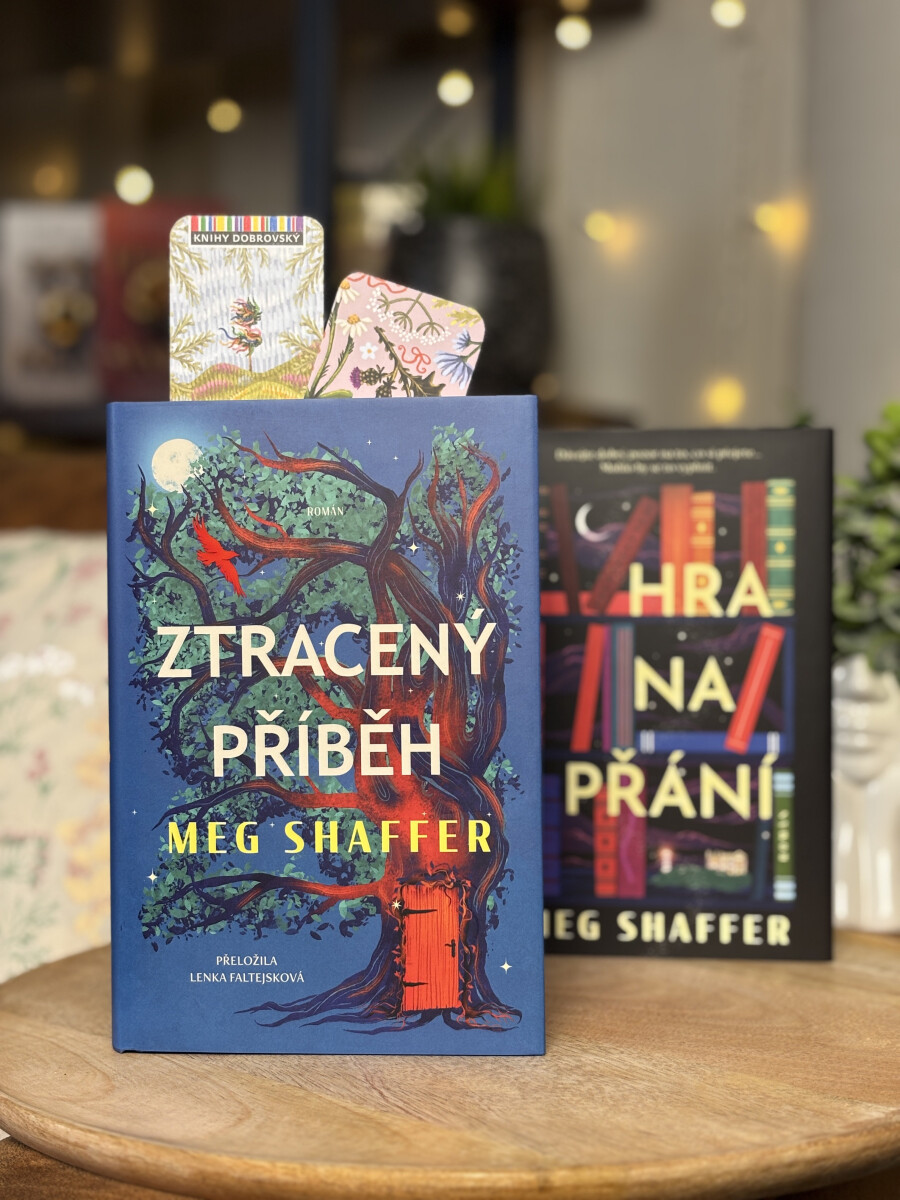 Ztracený příběh – Meg Shaffer