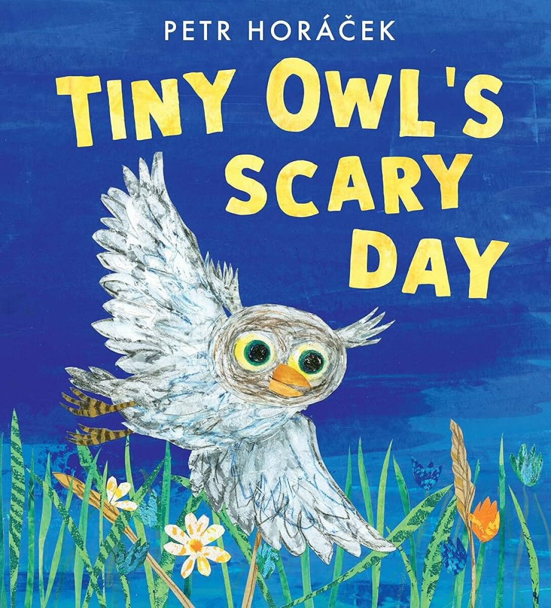 Kniha Tiny Owl's Scary Day