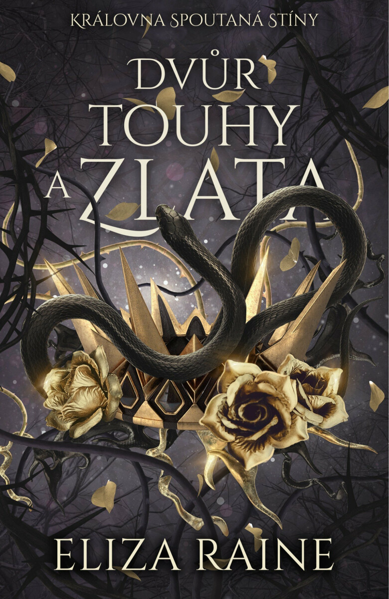 Kniha Dvůr touhy a zlata