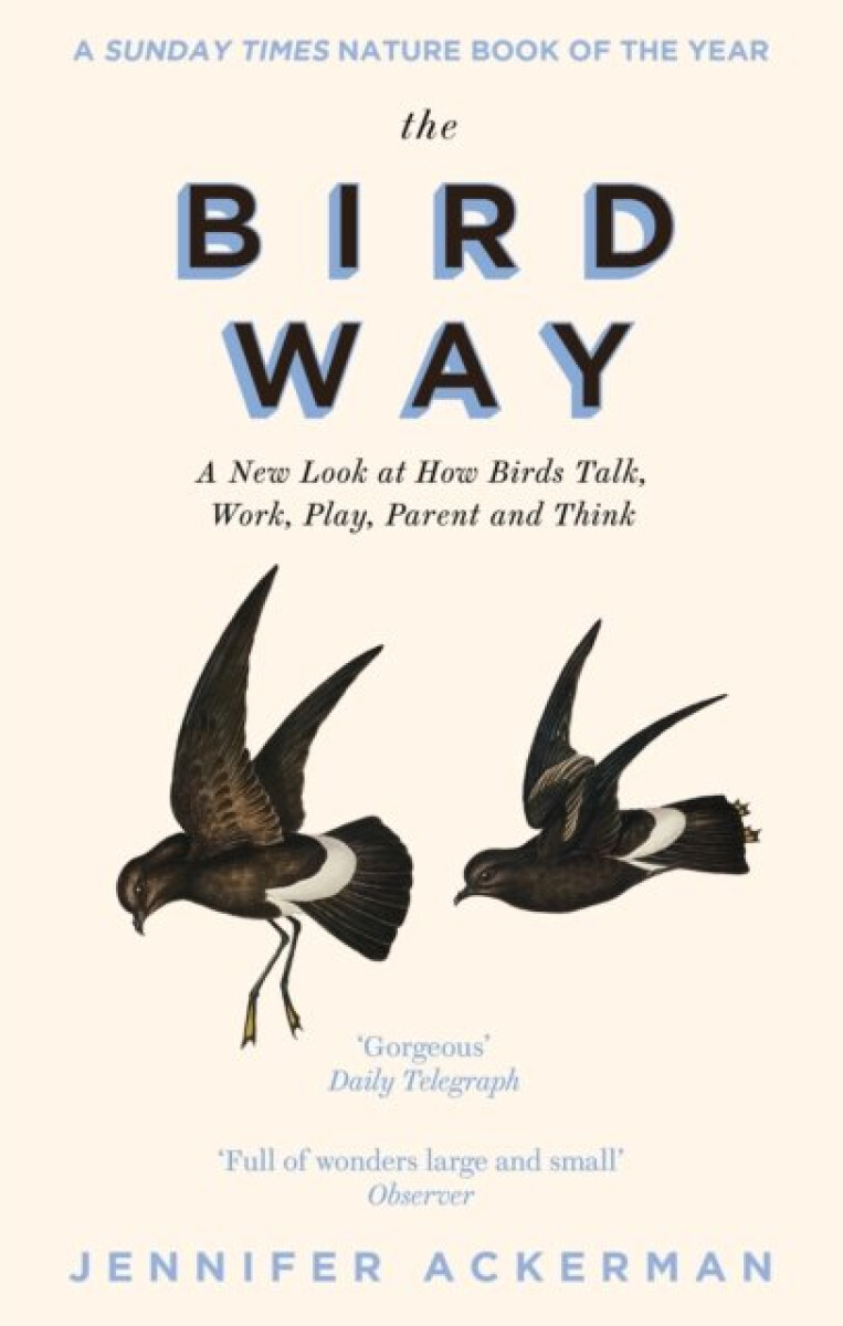 Kniha Bird Way