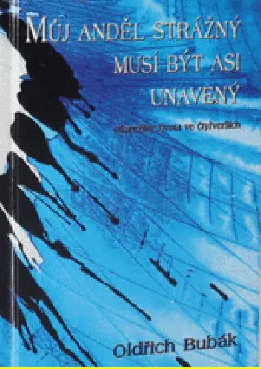 Kniha Můj anděl strážný musí být asi unavený (poškozená)