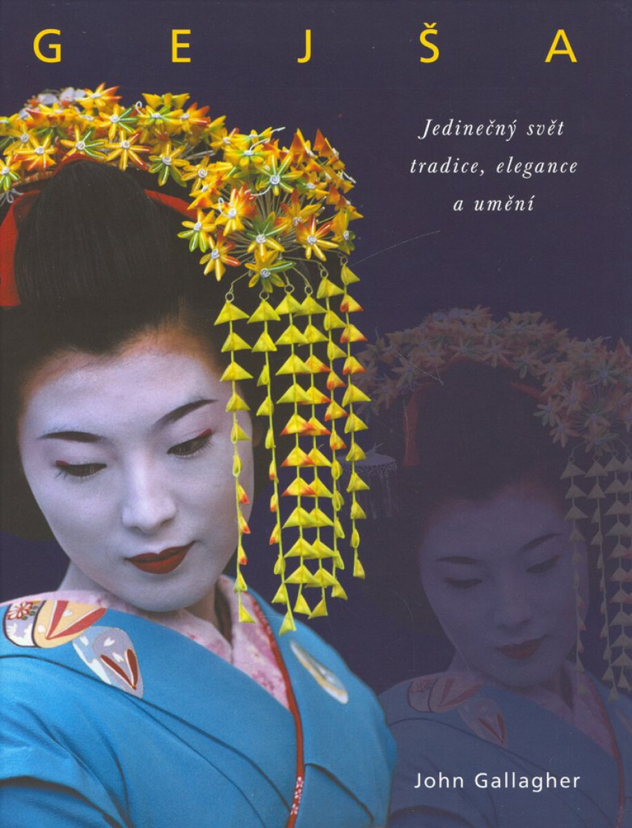 Kniha Gejša (poškozená)