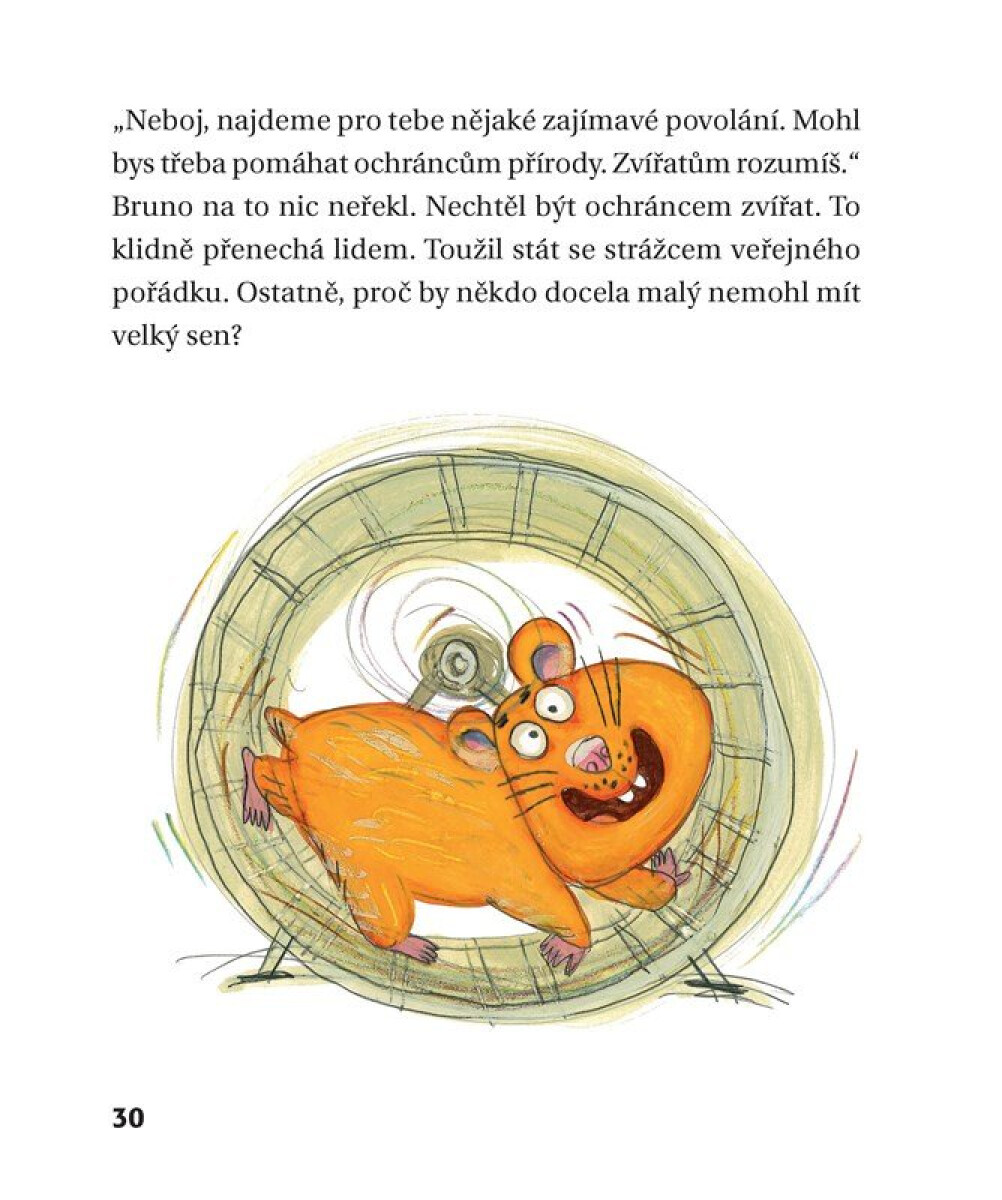 Policejní křeček - Daniela Krolupperová (obrázek 6)