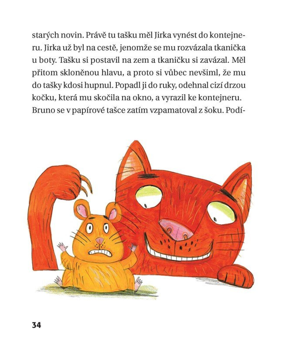 Policejní křeček - Daniela Krolupperová (obrázek 7)