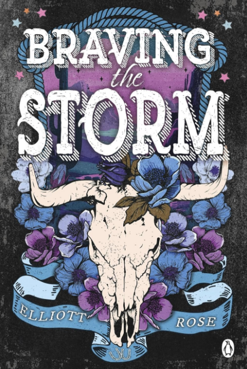 Kniha Braving the Storm