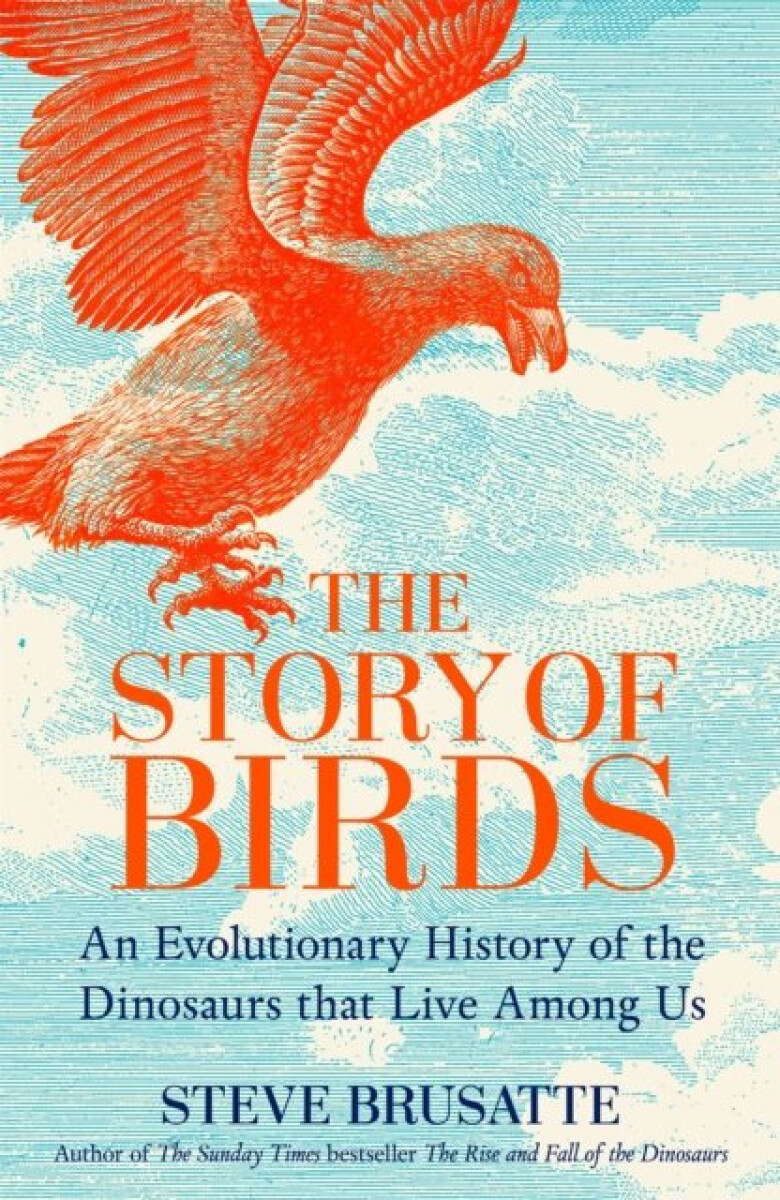 Kniha The Story of Birds