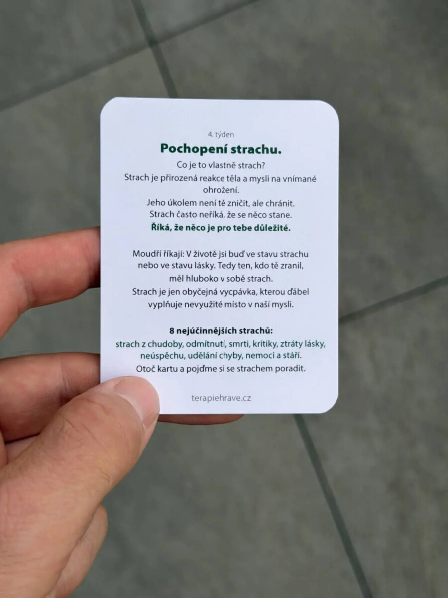 Návod na spokojený život - Karetní hra - Václav Bolech (obrázek 4)
