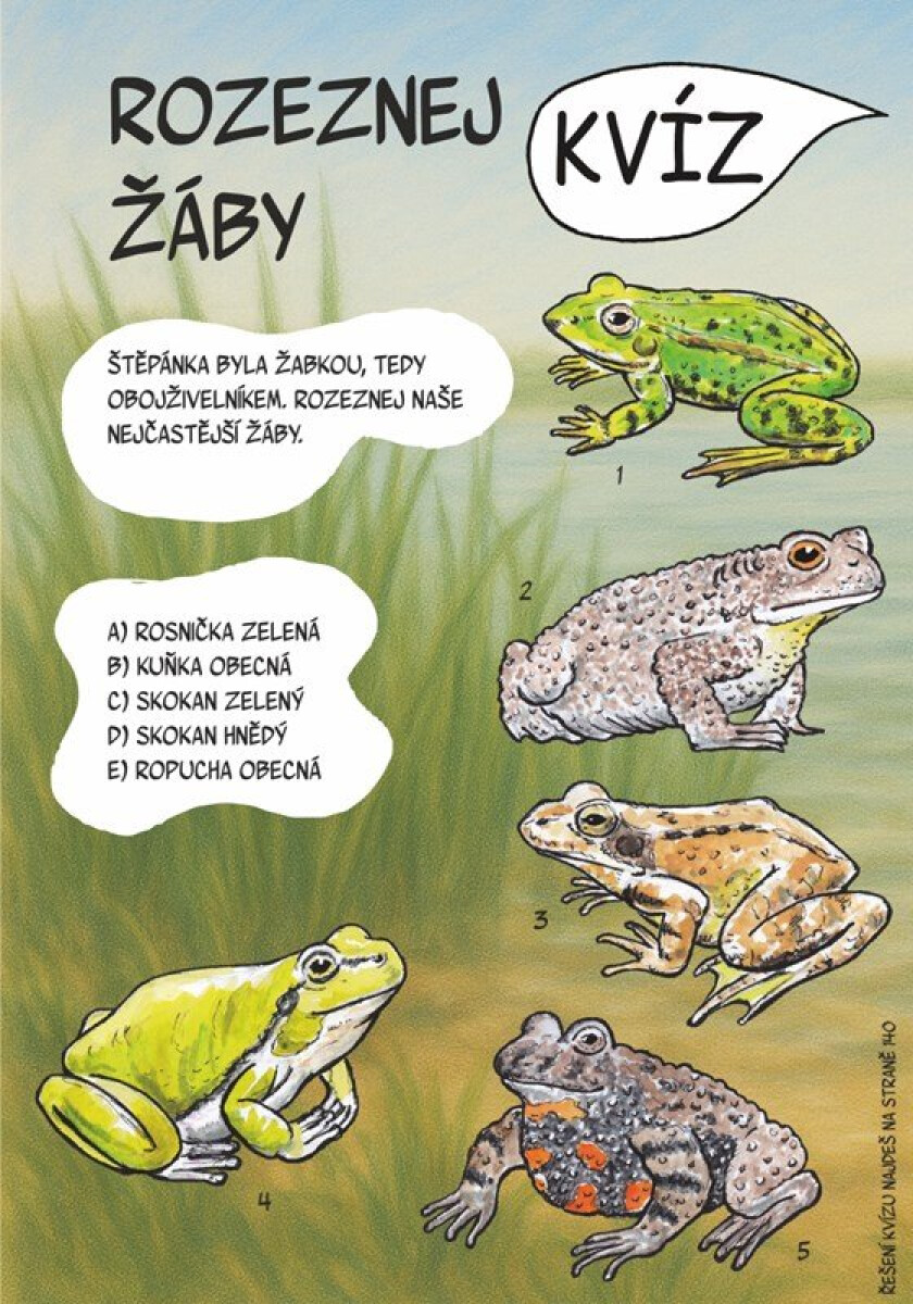 Pohádky Čimického háje - Martin Rezek (obrázek 5)