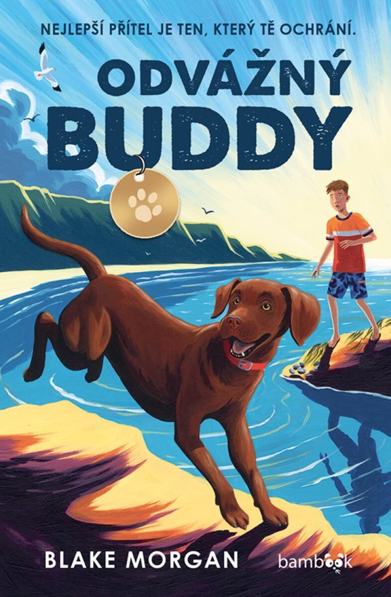 Kniha Odvážný Buddy