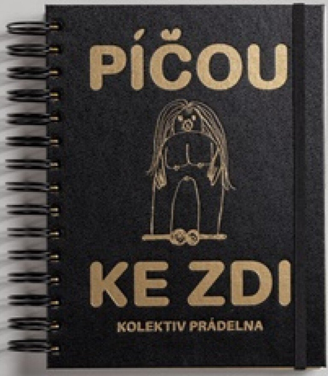 Kniha Píčou ke zdi