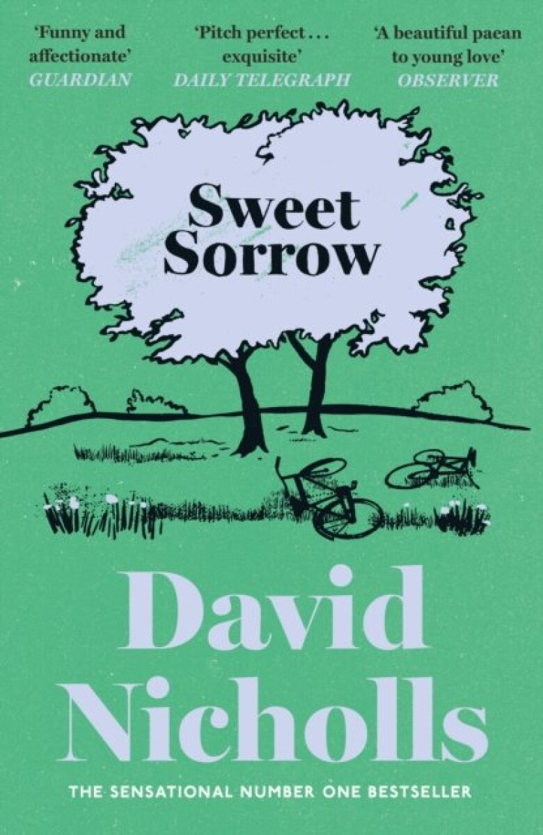Kniha Sweet Sorrow