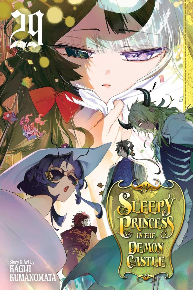 Kniha Sleepy Princess in the Demon Castle, Vol. 29