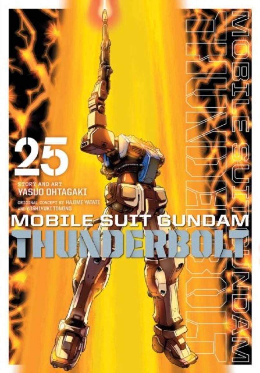 Kniha Mobile Suit Gundam Thunderbolt, Vol. 25