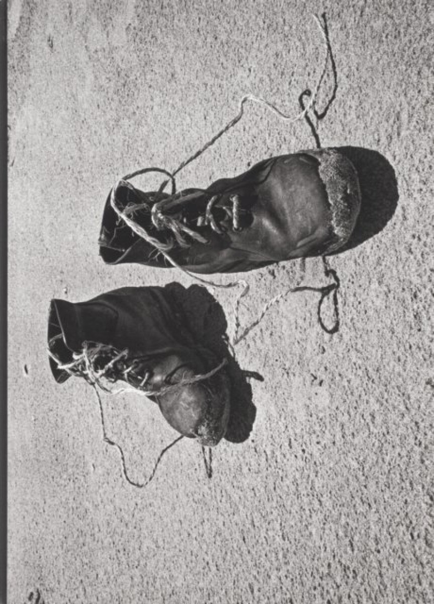 Kniha Josef Koudelka: Diaries