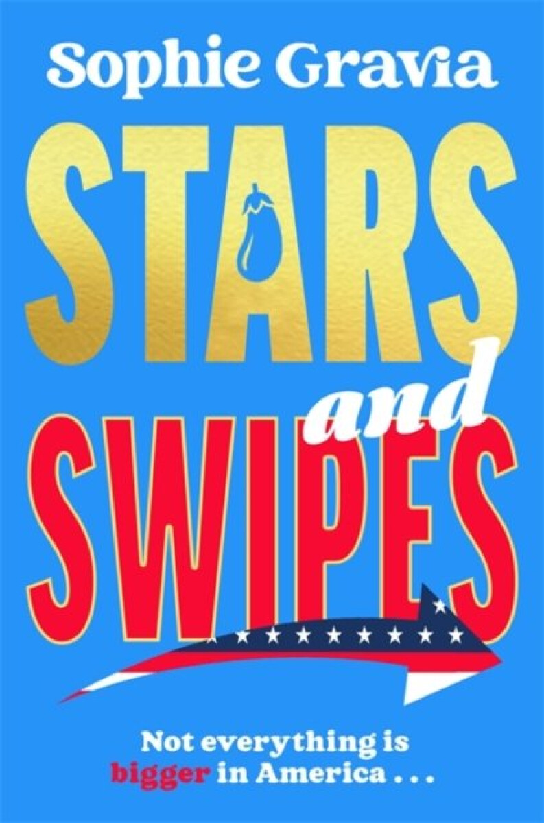 Kniha Stars and Swipes