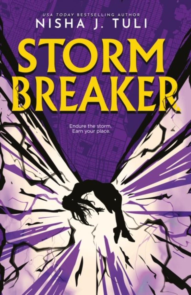 Kniha Storm Breaker