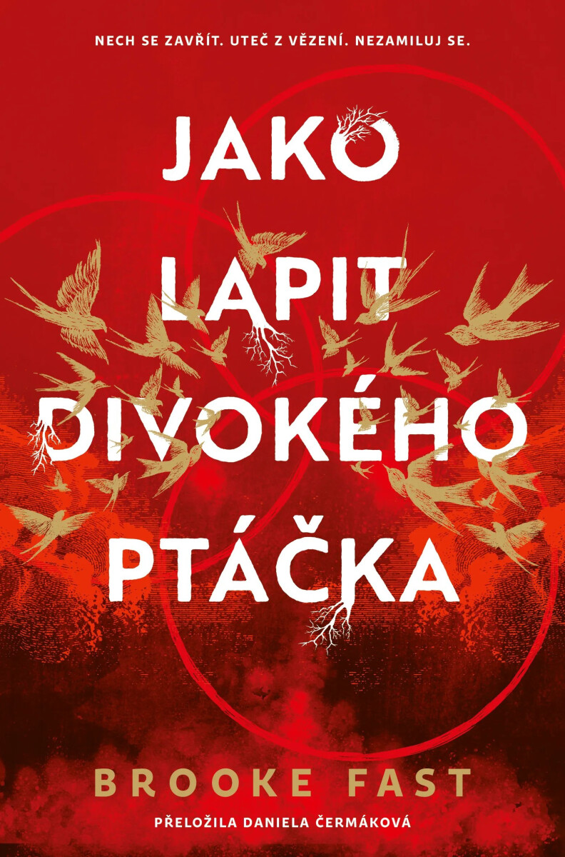 Kniha Jako lapit divokého ptáčka