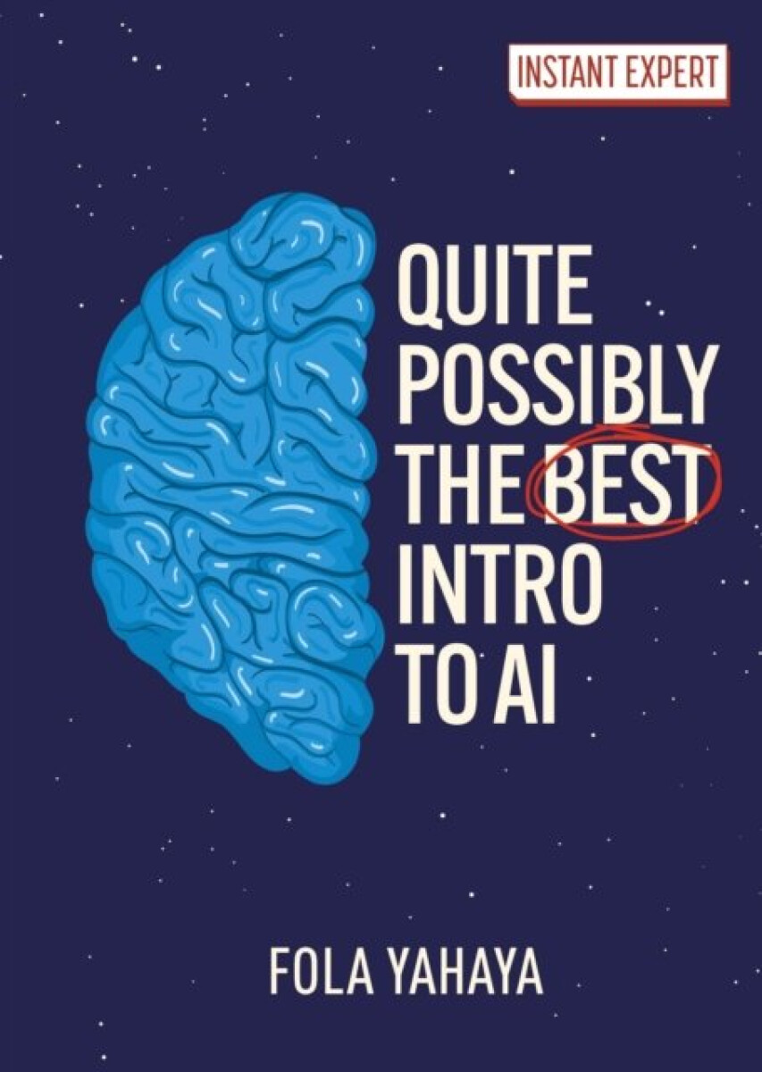 Kniha Quite Possibly the Best Introduction to AI