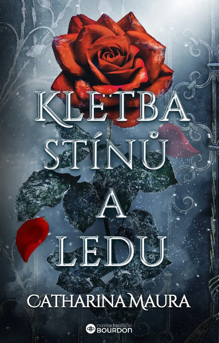Kniha Kletba stínů a ledu