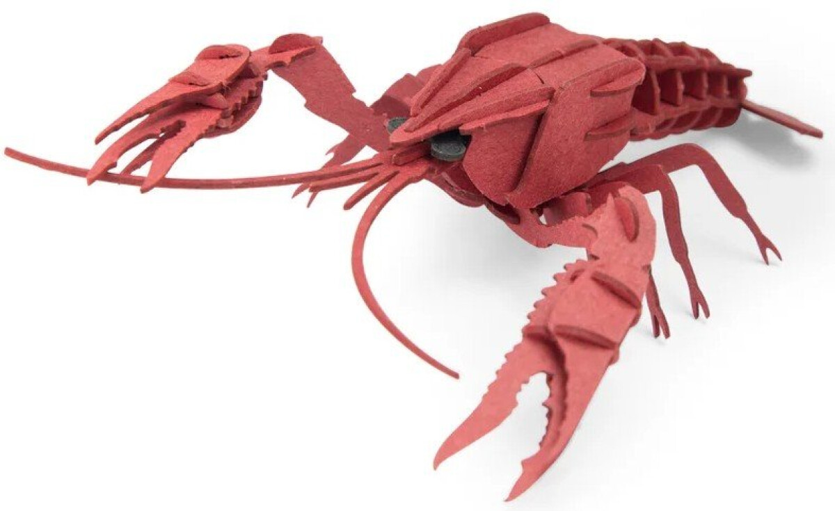 Puzzle 3D - Rak (obrázek 3)