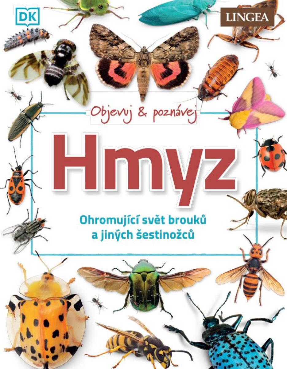 Objevuj a poznávej Hmyz