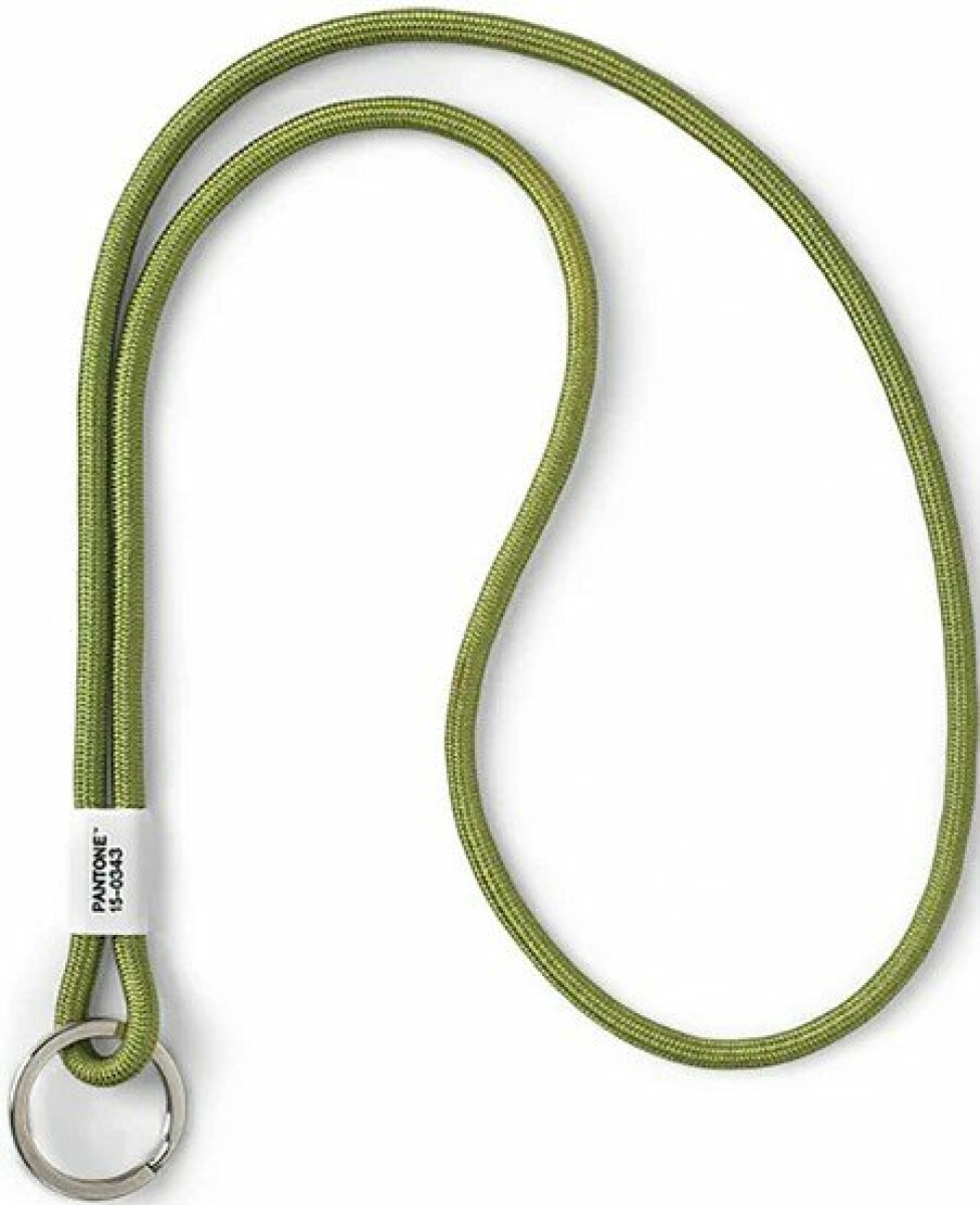 PANTONE Poutko na klíče L - Green 15-0343