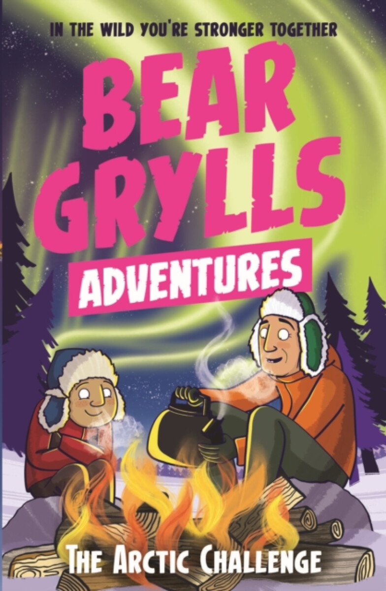 Kniha Bear Grylls Adventure 11: The Arctic Challenge