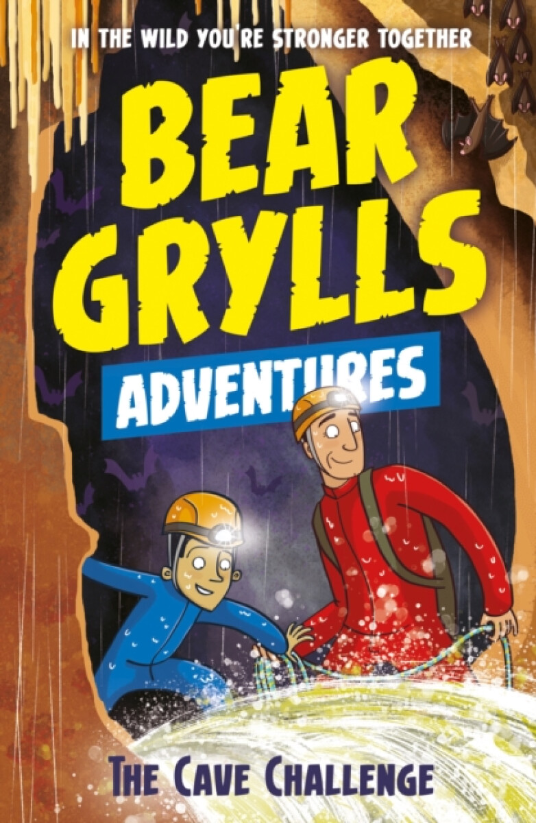 Kniha Bear Grylls Adventure 9: The Cave Challenge