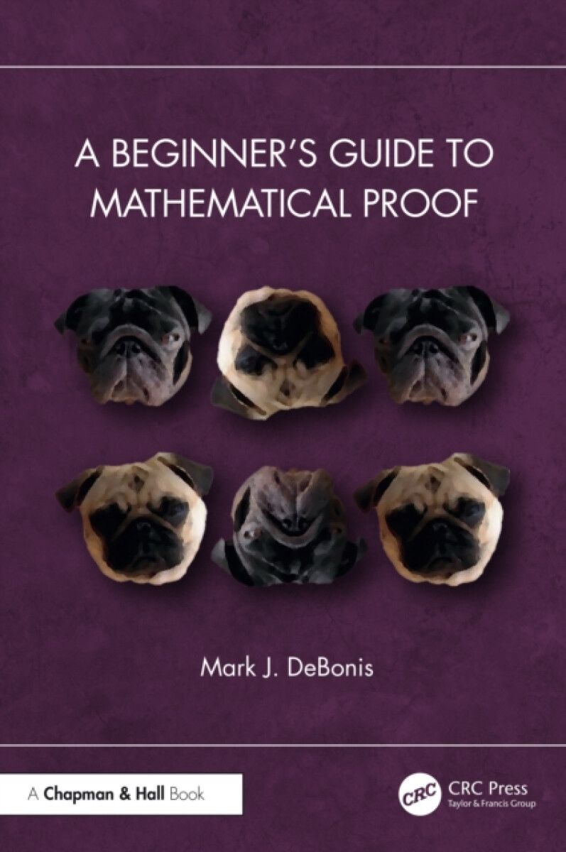 A Beginnerâ€™s Guide to Mathematical Proof - Mark J. DeBonis