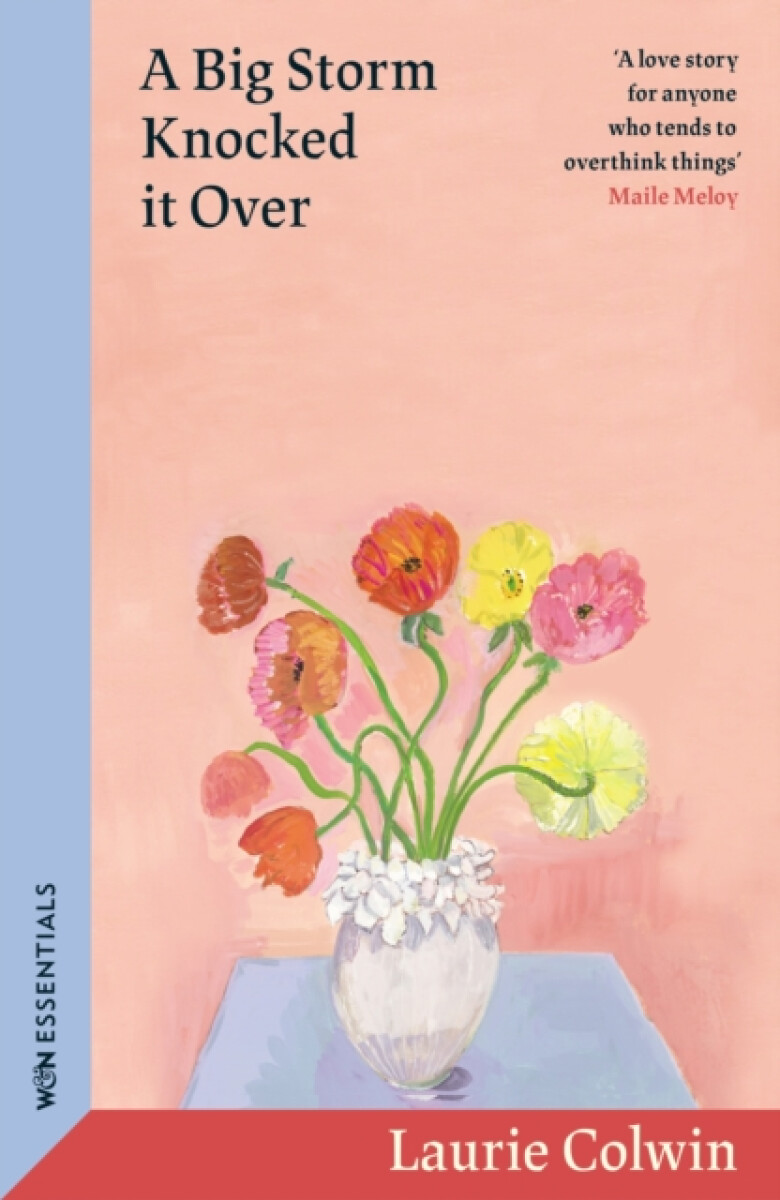 Kniha A Big Storm Knocked it Over