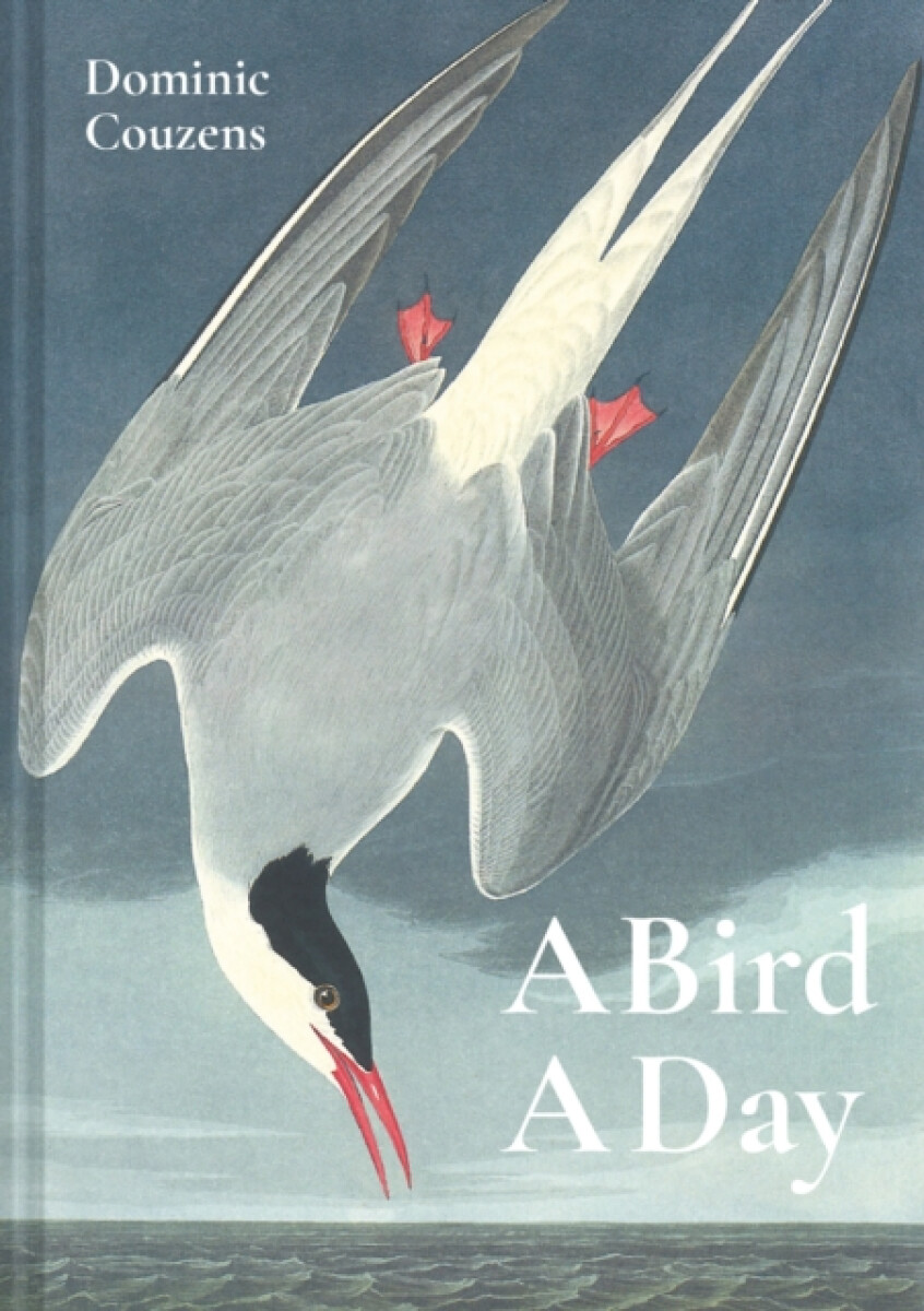 Kniha Bird A Day