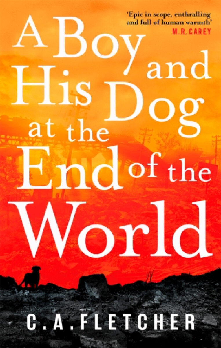 Kniha A Boy and his Dog at the End of the World