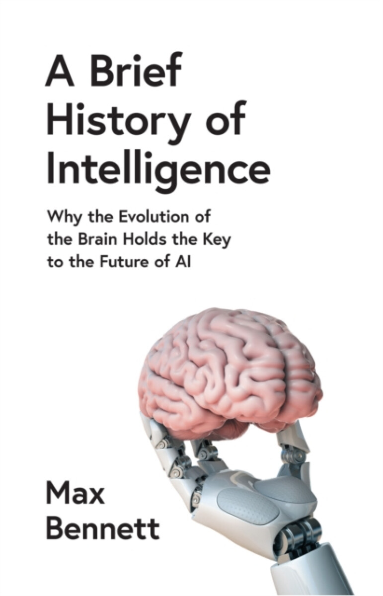 Kniha Brief History of Intelligence