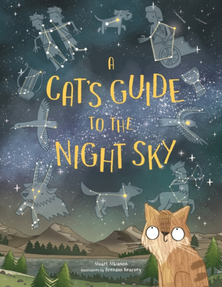 Kniha Cat's Guide to the Night Sky