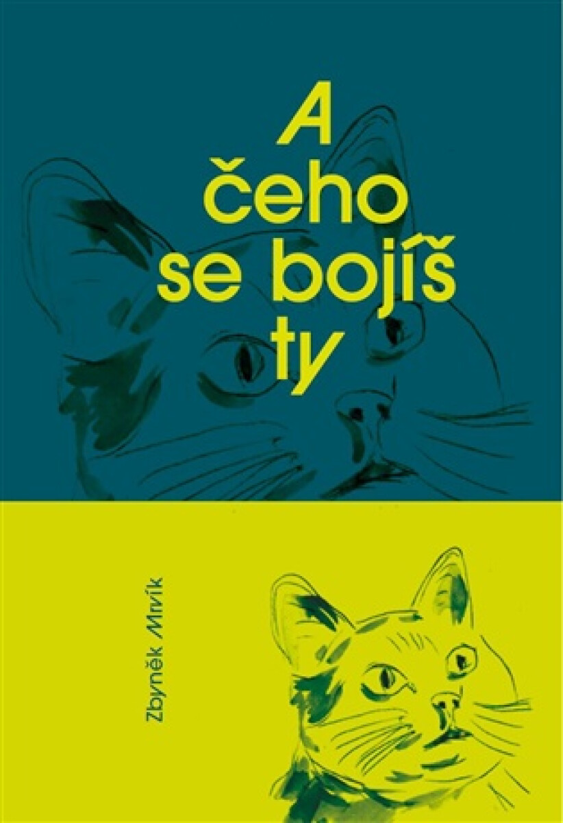 Kniha A čeho se bojíš ty