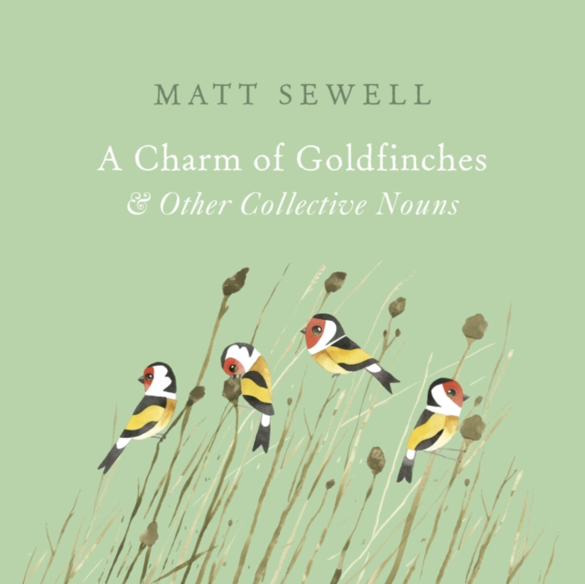 Kniha Charm of Goldfinches and Other Collective Nouns