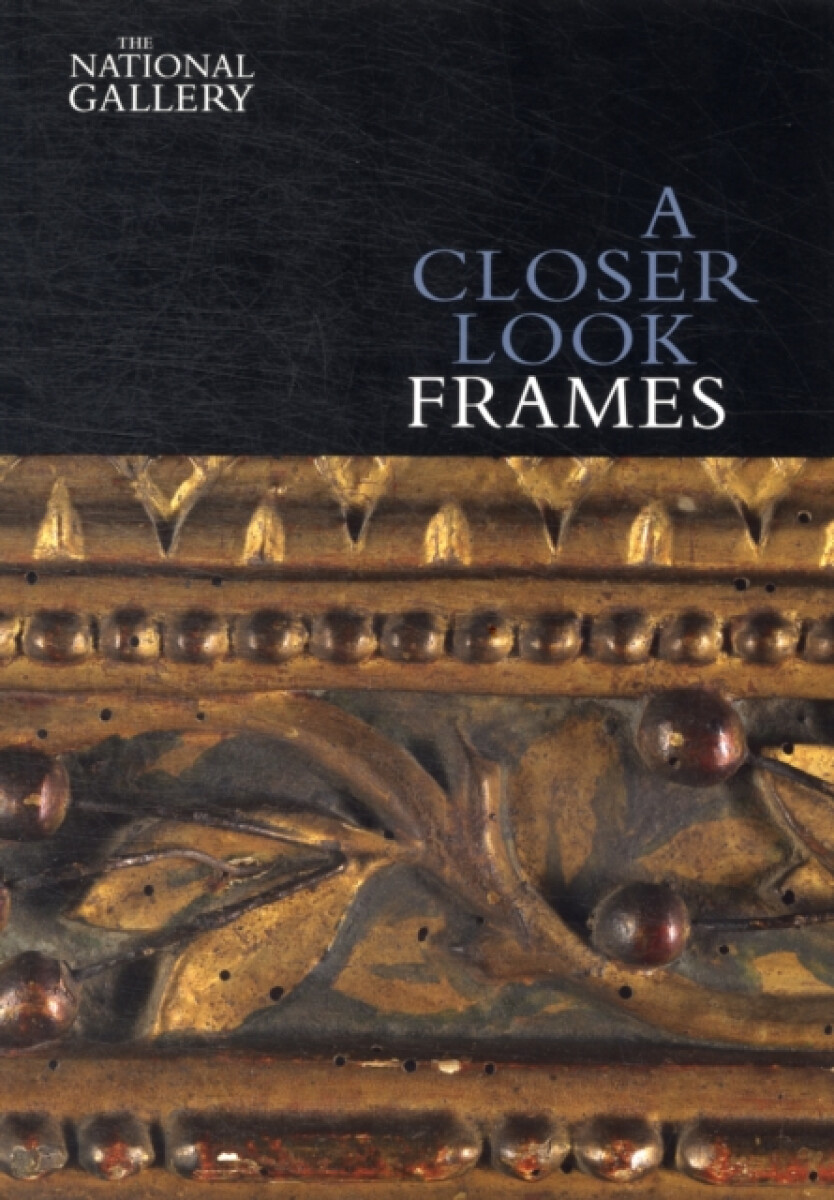 Kniha Closer Look: Frames