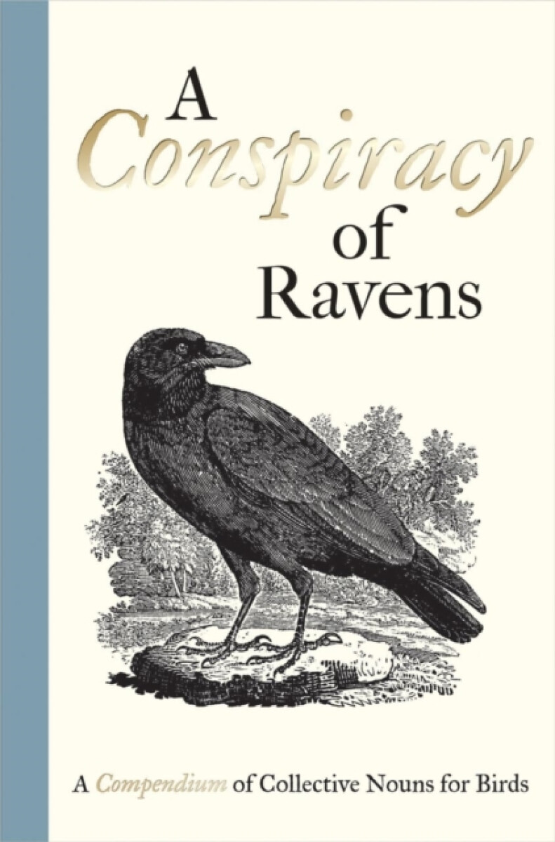 A Conspiracy of Ravens â€“ A Compendium of Collective Nouns for Birds