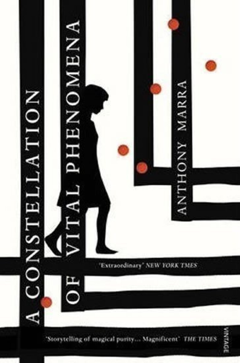 Kniha Constellation of Vital Phenomena