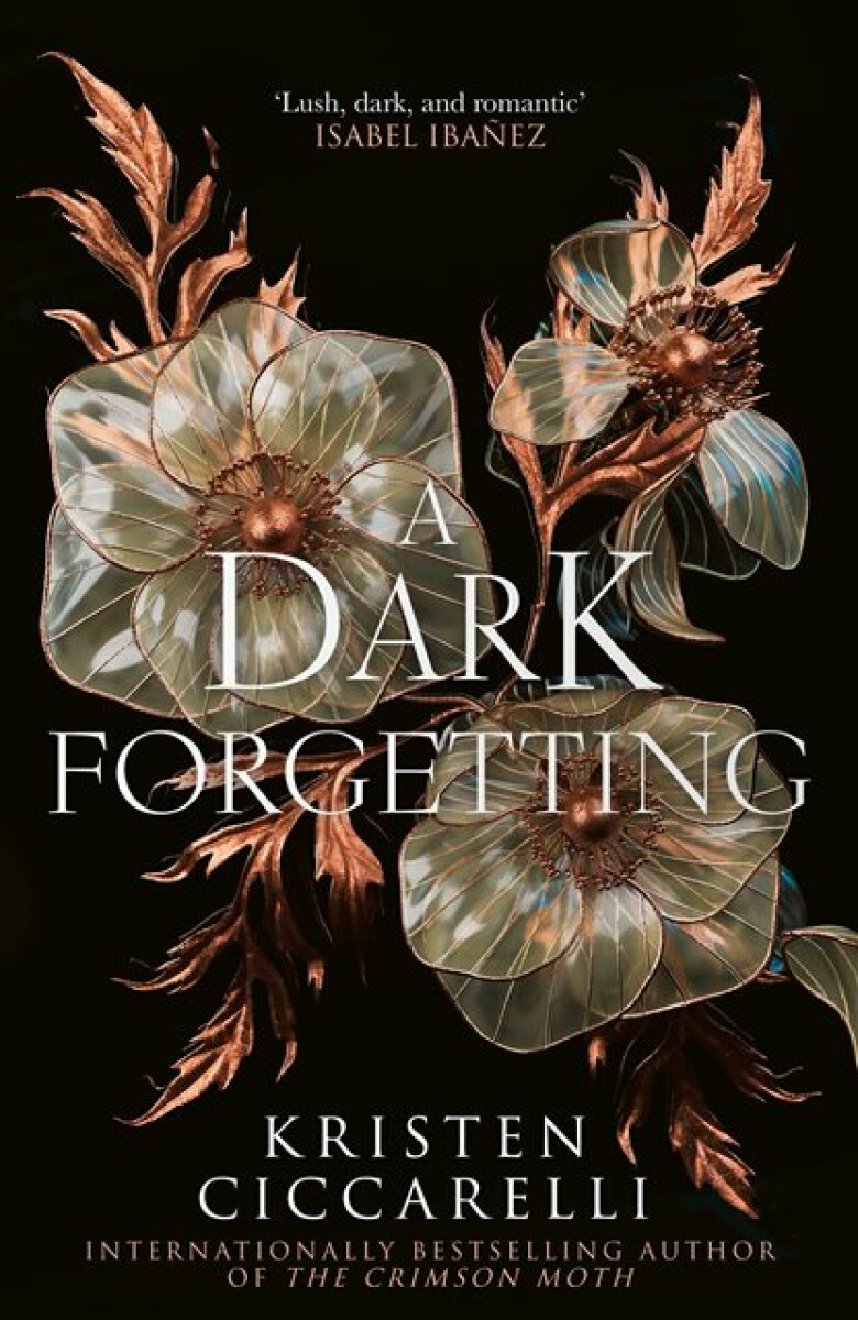 Kniha A Dark Forgetting