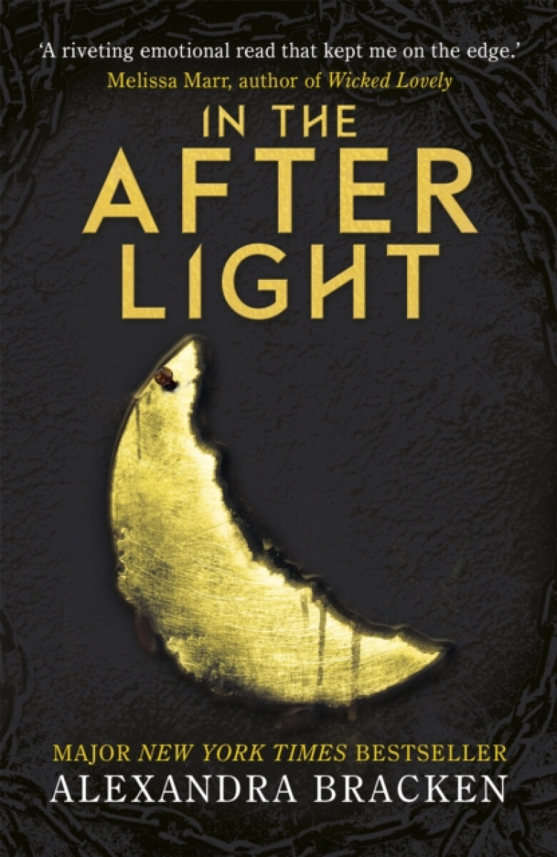 Kniha A Darkest Minds 3: In the Afterlight